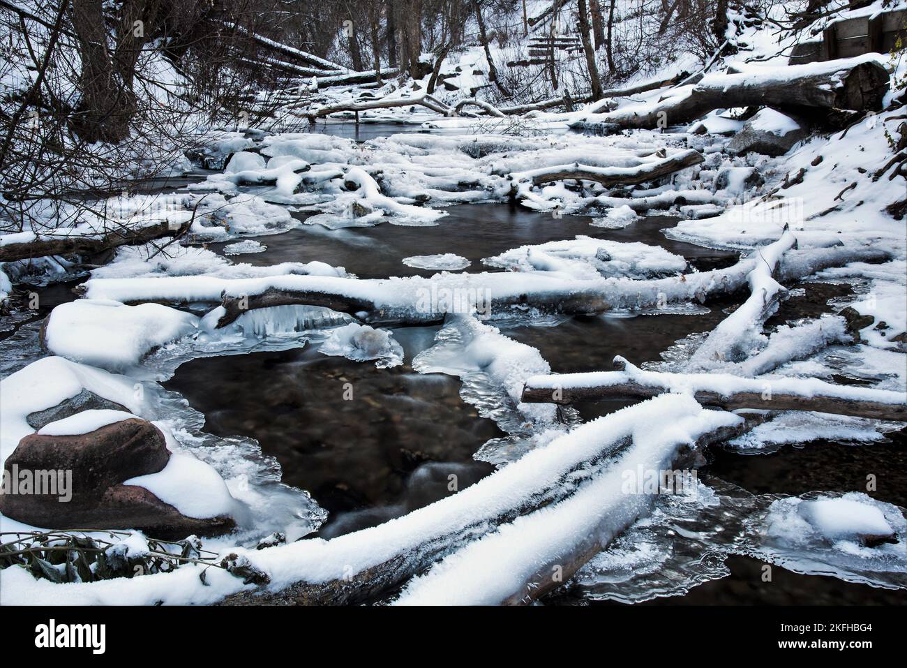 Schnee und Eis bedeckten Baumstämme in einem Bergbach. Stockfoto