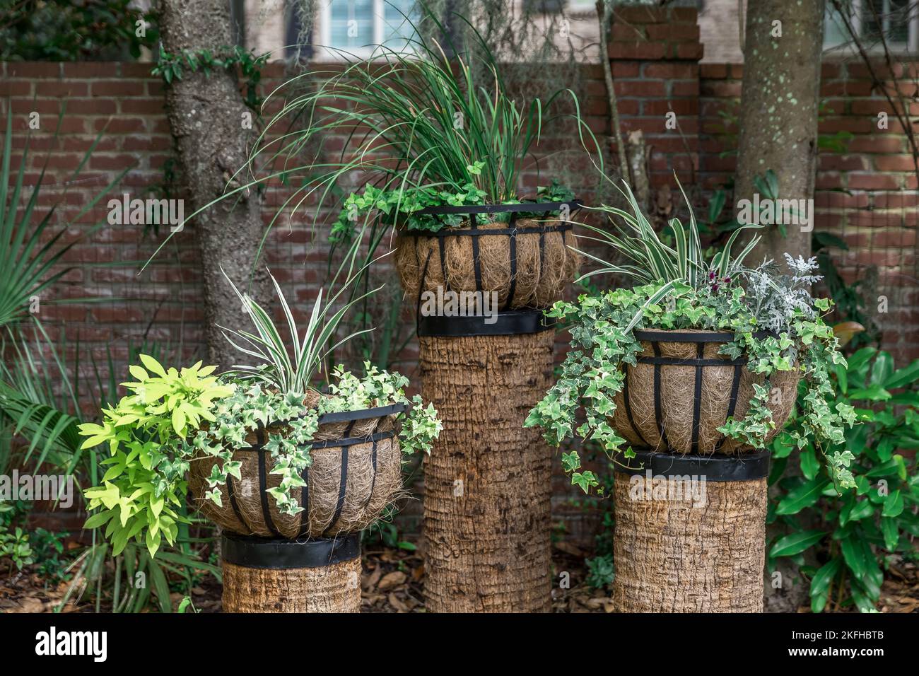 Ein Set aus drei erhöhten Outdoor-Pflanzen in Pflanzenkorb Liner mit einer Vielzahl von Pflanzen für einen landschaftlich einzigartigen Look Stockfoto