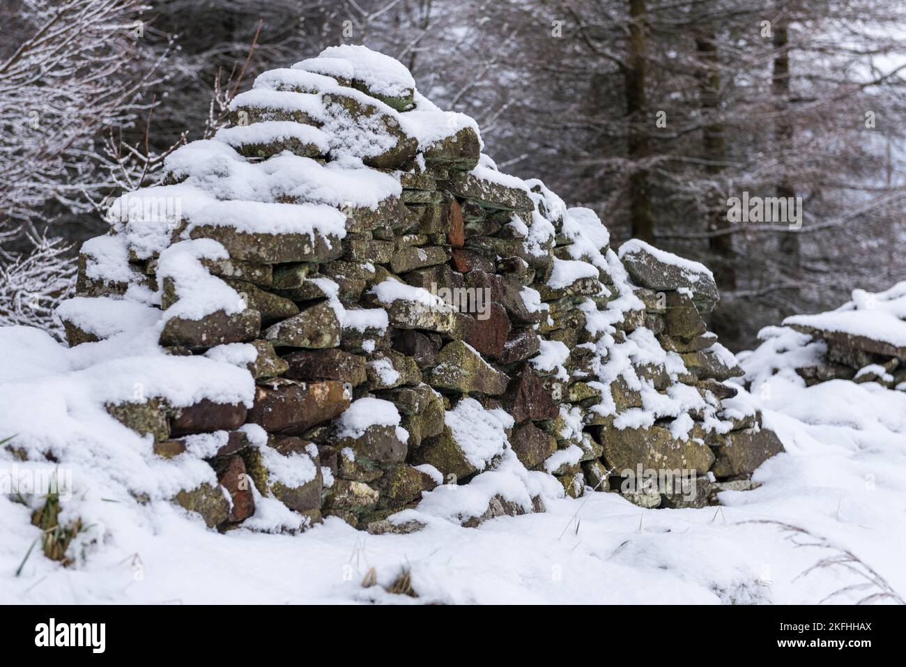 Verfallene alte Steinmauer mit Schneebedeckung. Steinmauern zum Wald. Stockfoto