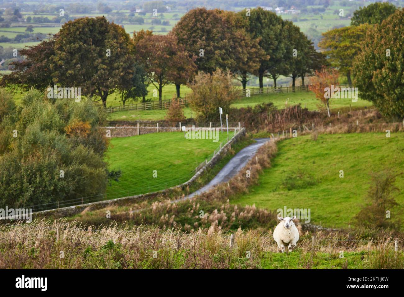 Landschaft der Marktstadt Ribble Valley in Lancashire, England Stockfoto