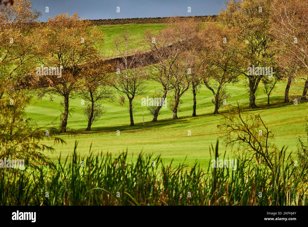 Landschaft der Marktstadt Ribble Valley in Lancashire, England Stockfoto