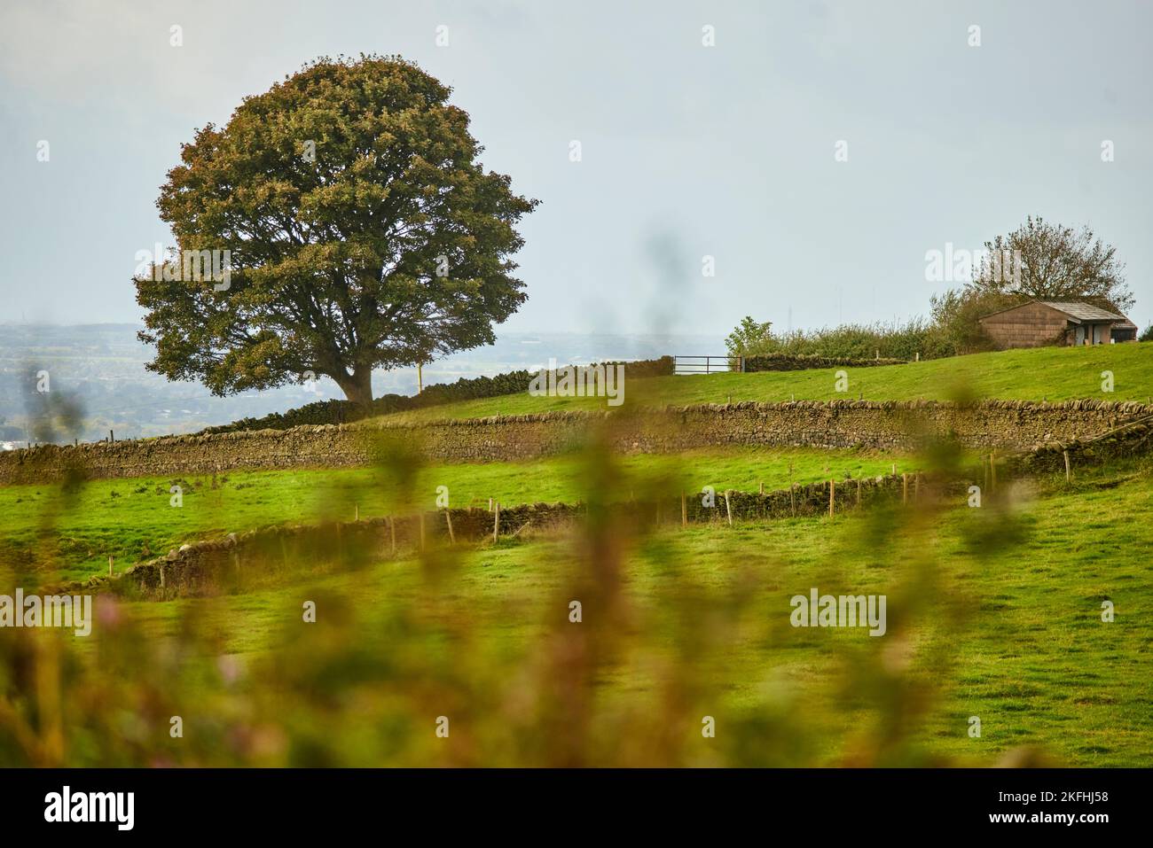 Landschaft der Marktstadt Ribble Valley in Lancashire, England Stockfoto