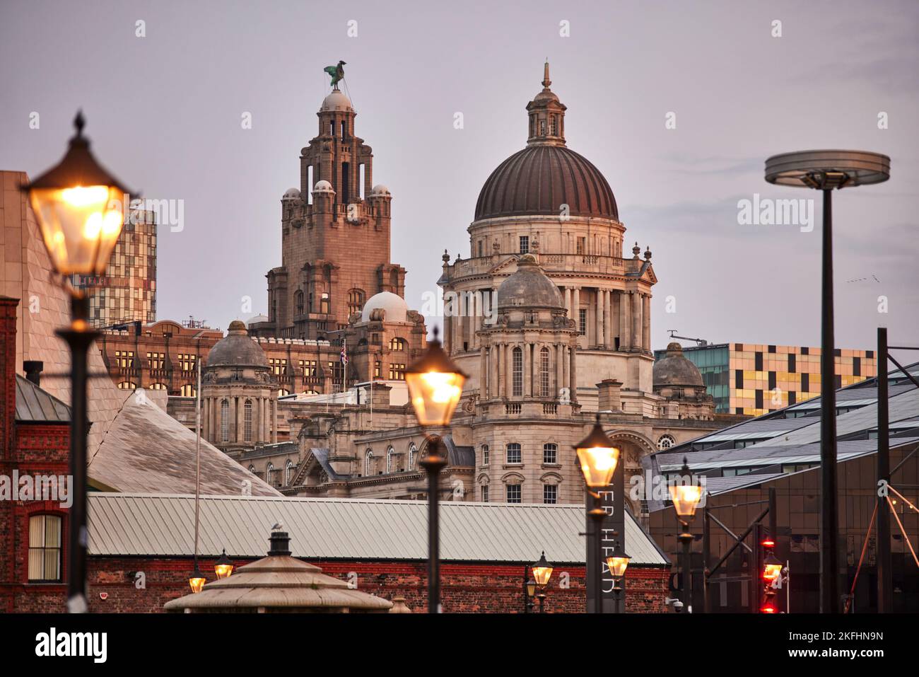 Liverpool Liver Building und Dächer Stockfoto