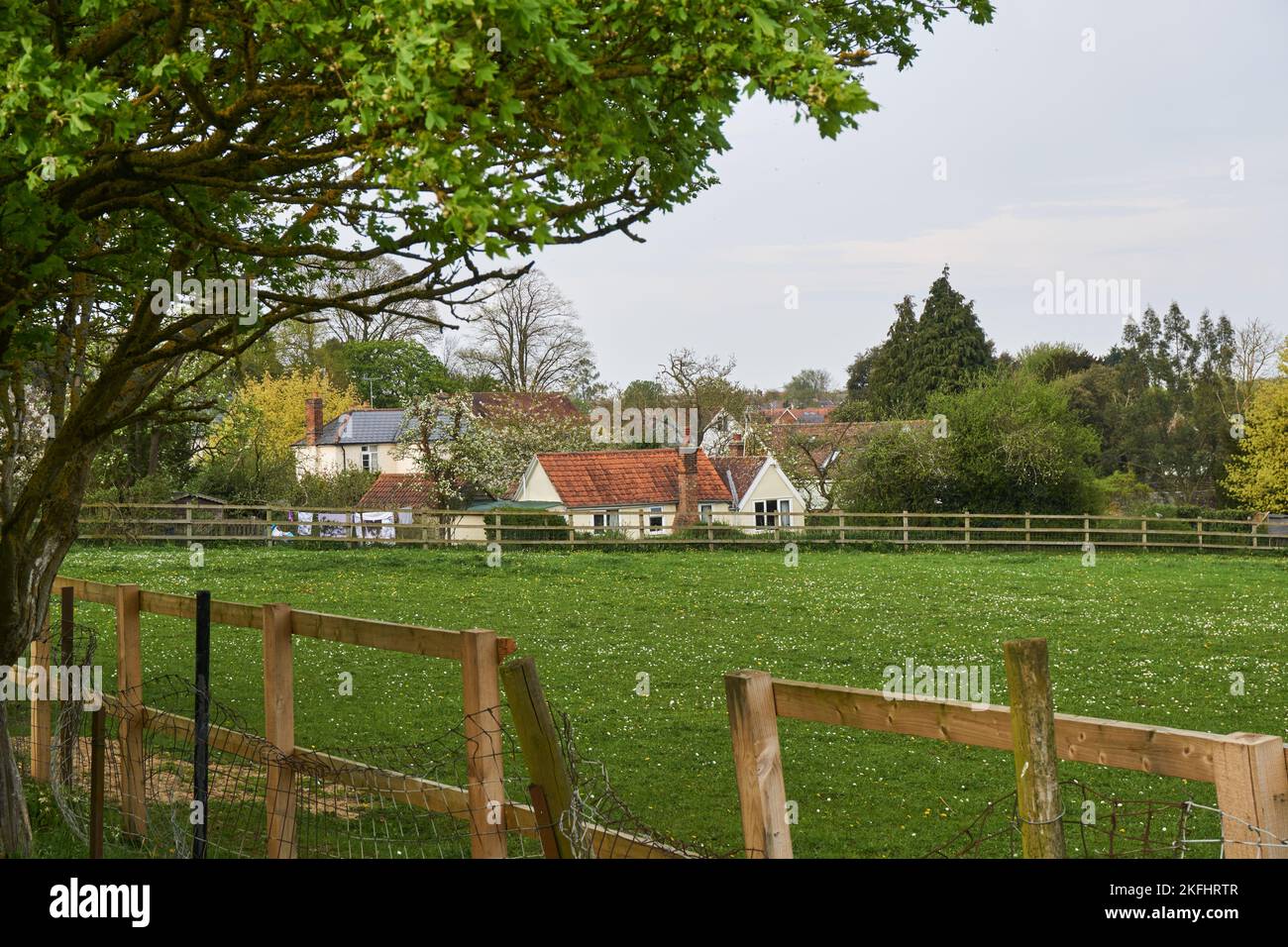 Feld mit Blick auf die ländliche Stadt Thaxted, Essex UK Stockfoto