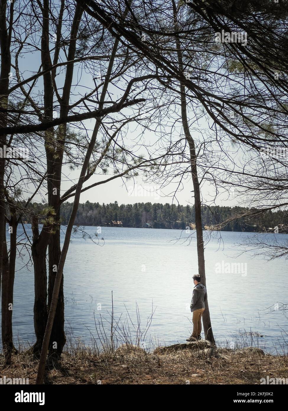Seitenansicht des Jungen, der während eines sonnigen Tages am Baumstamm am Seeufer gegen den Himmel im Wald steht Stockfoto