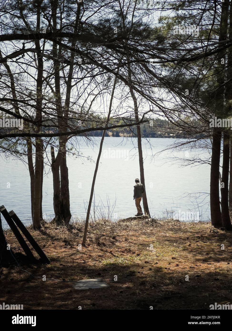 Mittlere Sicht auf den kaukasischen Jungen, der an sonnigen Tagen am Ufer im Wald steht und auf den See blickt Stockfoto