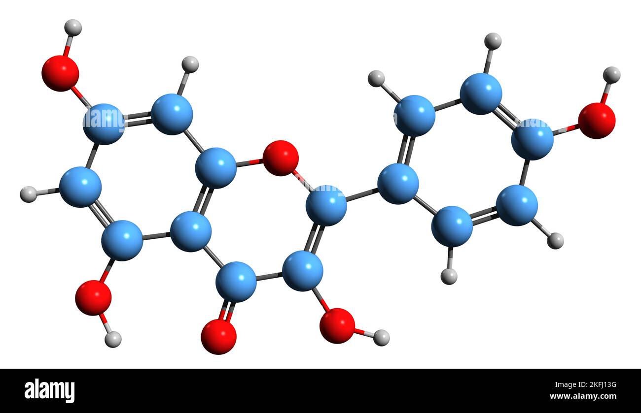 3D Bild der Skelettformel von Kaempferol - molekularchemische Struktur von natürlichem Flavonol, isoliert auf weißem Hintergrund Stockfoto