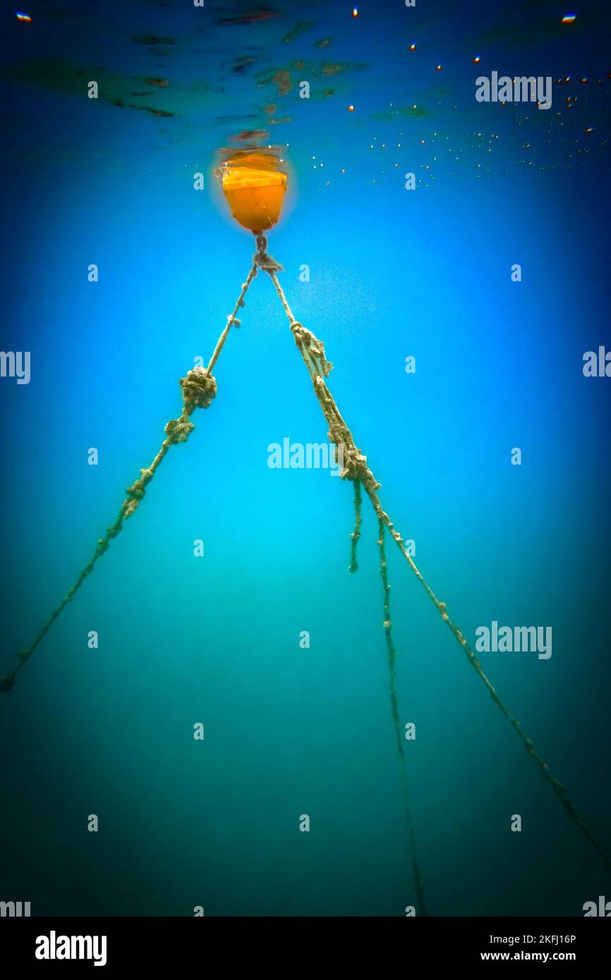 Boje mit langen Seilen gebunden schwimmend unter Wasser in blauer Meereslandschaft. Stockfoto
