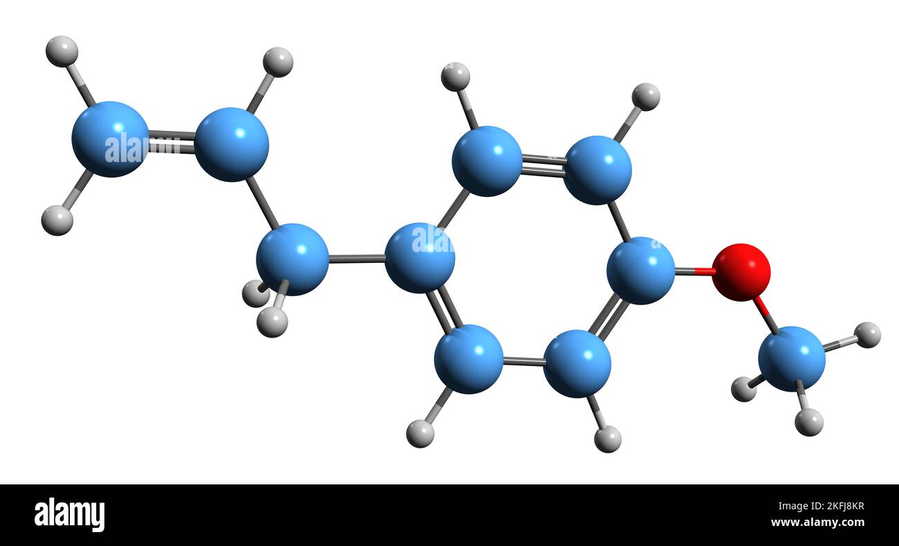 3D Bild der Skelettformel von Estragol - molekulare chemische Struktur von Chavicyl Methylether isoliert auf weißem Hintergrund Stockfoto