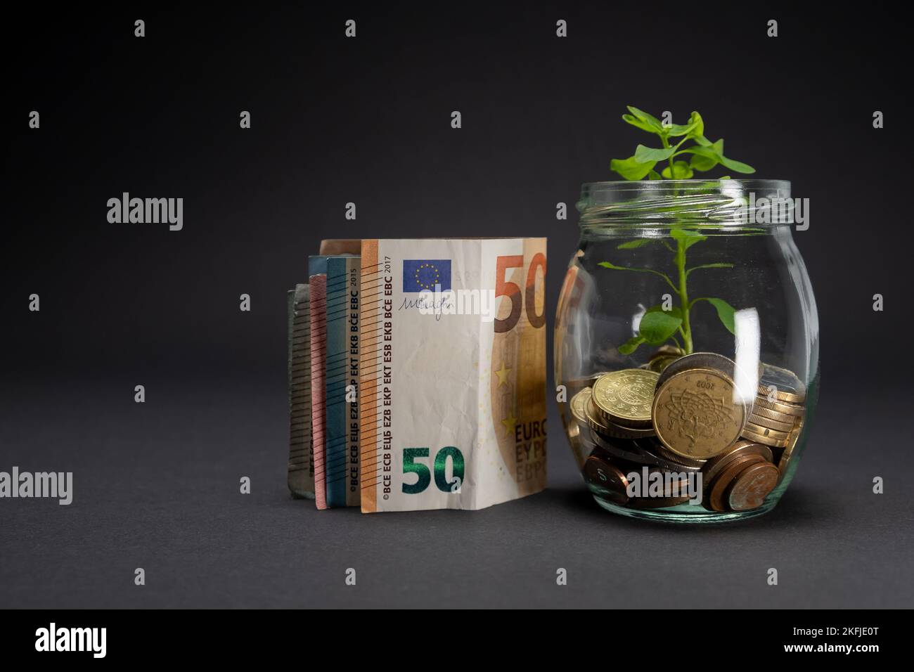 Euro-Banknoten auf dunklem Hintergrund. 50-Euro-Banknotenkonzept neben einem Glasgefäß mit Pflanzen, die in Sparmünzen wachsen. Speicherplatz kopieren. Stockfoto