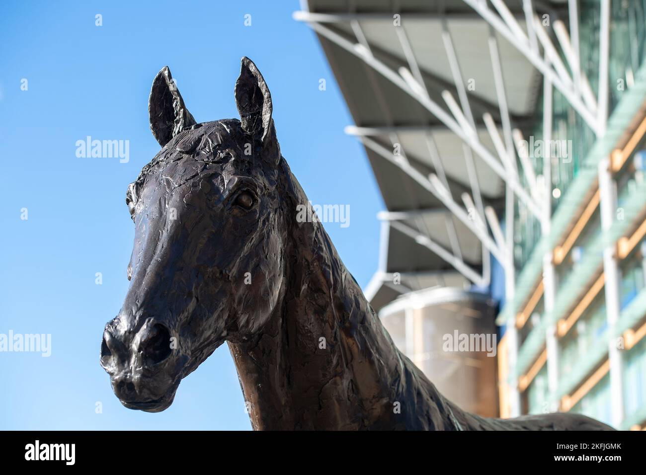Ascot, Bergen, Großbritannien. 18.. November 2022. Eine Bronzestatue des Wunderpferdes Frankel auf der Ascot Racecourse an einem sonnigen Nachmittag. Quelle: Maureen McLean/Alamy Live News Stockfoto