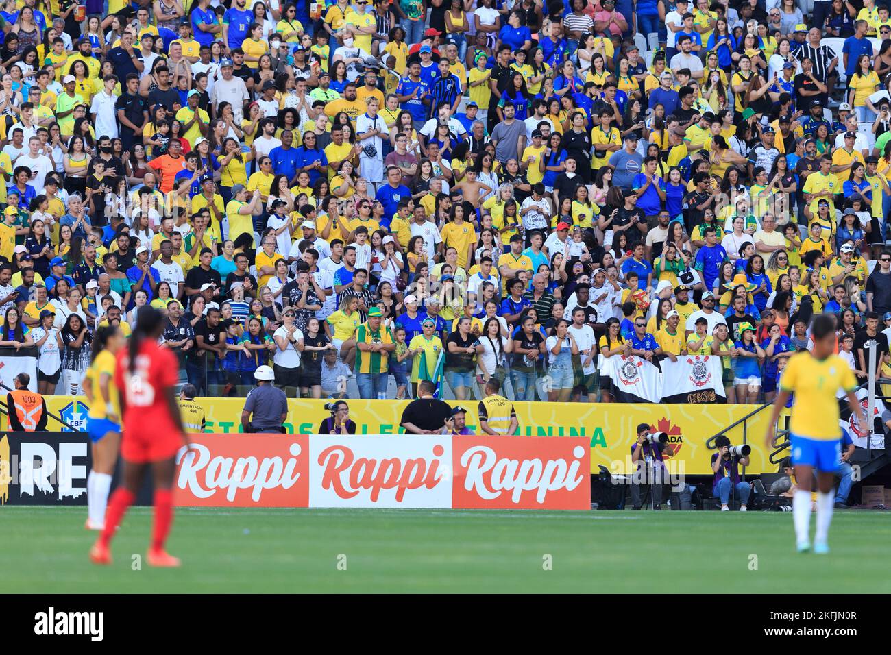 SAO PAULO, BRASILIEN - 15. NOVEMBER: Brasilien-Fans beim Freundschaftsspiel der Frauen zwischen Brasilien und Kanada in der Neo Química Arena am 15. November 2 Stockfoto