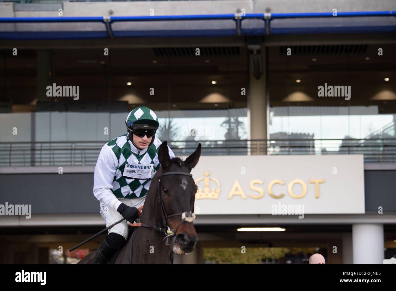 Ascot, Bergen, Großbritannien. 18.. November 2022. Horse Smarty Wild unter der Leitung von Jockey Tom O'Brien begeben Sie sich auf die Rennstrecke für den nicht vergessenen Handicap Steeple Chase auf der Ascot Racecourse. Quelle: Maureen McLean/Alamy Live News Stockfoto