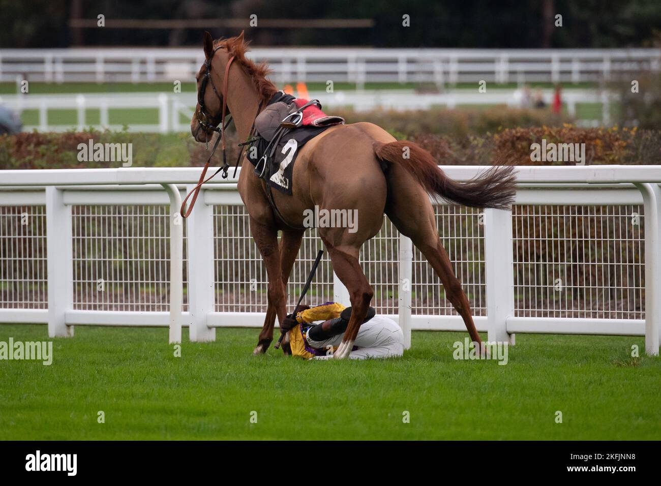 Ascot, Bergen, Großbritannien. 18.. November 2022. Jockey Brendan Powell hält sich an das Pferd Copperhead fest, bevor er nach einem Sprung in den nicht vergessenen Hindernislenker Chase auf der Ascot Racecourse fällt. Quelle: Maureen McLean/Alamy Live News Stockfoto