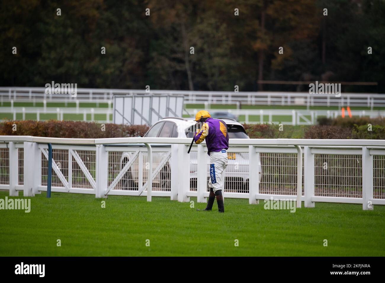 Ascot, Bergen, Großbritannien. 18.. November 2022. Jockey Brendan Powell hält sich an das Pferd Copperhead fest, bevor er nach einem Sprung in den nicht vergessenen Hindernislenker Chase auf der Ascot Racecourse fällt. Quelle: Maureen McLean/Alamy Live News Stockfoto