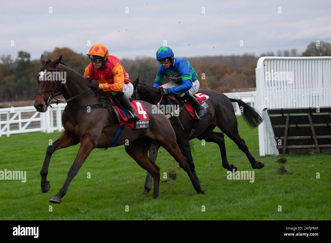 Ascot, Bergen, Großbritannien. 18.. November 2022. Die Paddock Ownership Day Series Anfänger Handicap Hurdle Race. Quelle: Maureen McLen/Alamy Live News Stockfoto