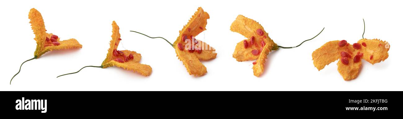 Über reifen und ausbrechen bitteren Kürbis mit Samen, verschiedene Winkel isoliert auf weißem Hintergrund Stockfoto