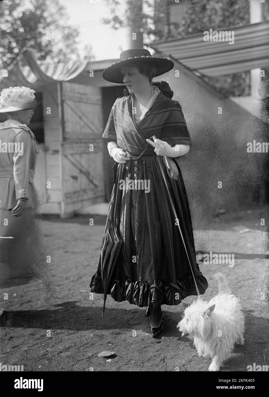 Pferdeshows - Nicht Identifiziert, 1917. Stockfoto