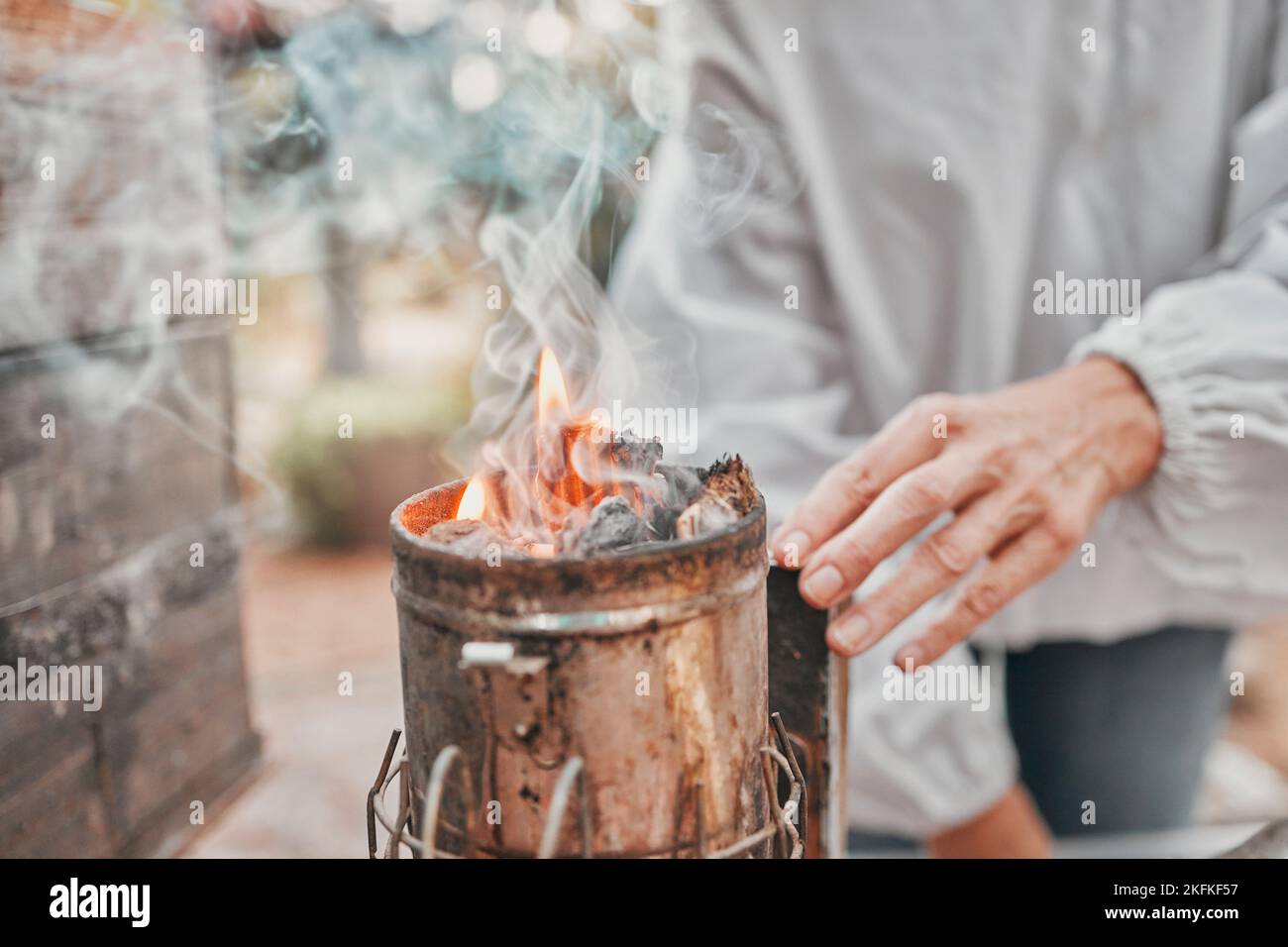 Die Landwirtschaft, das Feuer und die Hände des Imkers in der Produktion des Honigs mit dem Rauch im Behälter. Nachhaltigkeit, umweltfreundlich und Unternehmer mit einem Stockfoto