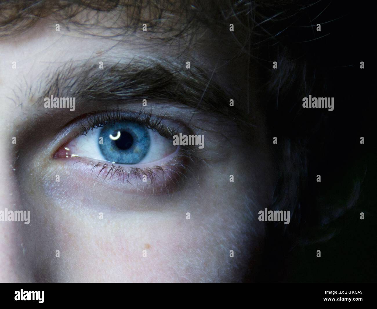 Eine Nahaufnahme des blauen Auges eines gutaussehenden Mannes mit hellem Fell Stockfoto