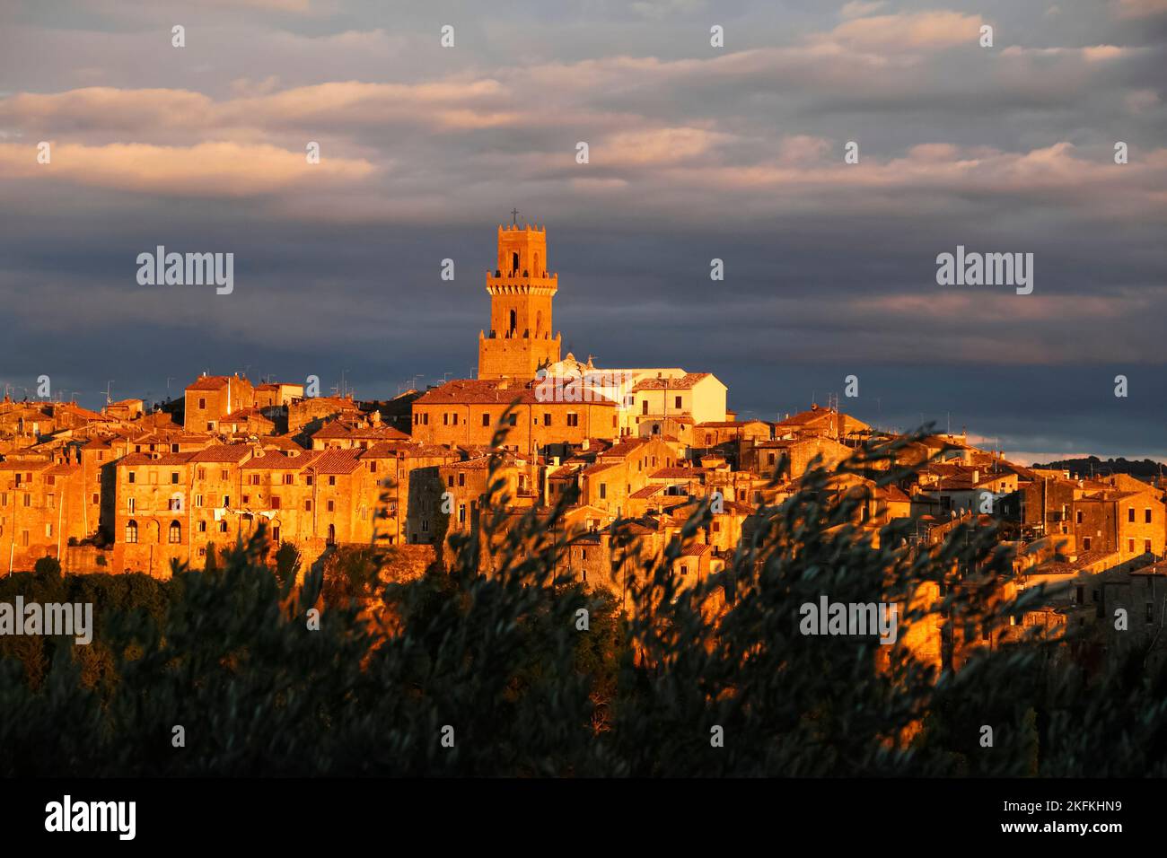 Blick über Olivenzweige zur mittelalterlichen Stadt Pitigliano, die im Abendlicht mit der Kathedrale Santi Pietro e Paolo und dem Turm im Zentrum der Maremma leuchtet, Stockfoto
