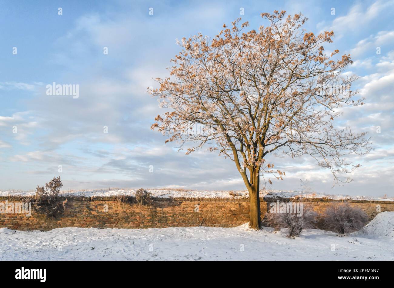 Panoramablick auf schneebedeckte Teile der Festung Petrovaradin. Stockfoto