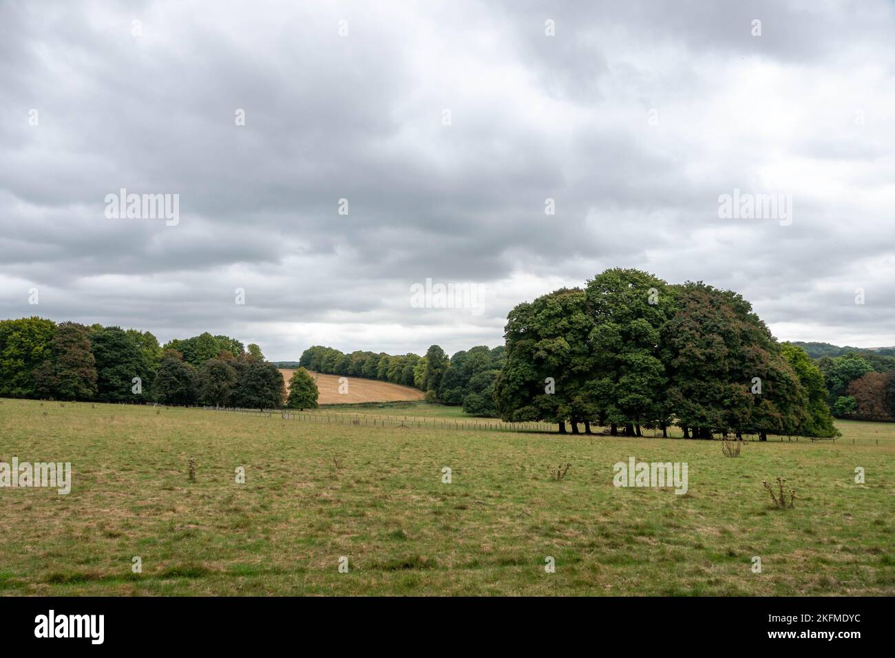 Kreis der Bäume gerade erst beginnen, Herbstfarbe in der englischen Landschaft zu bekommen Stockfoto