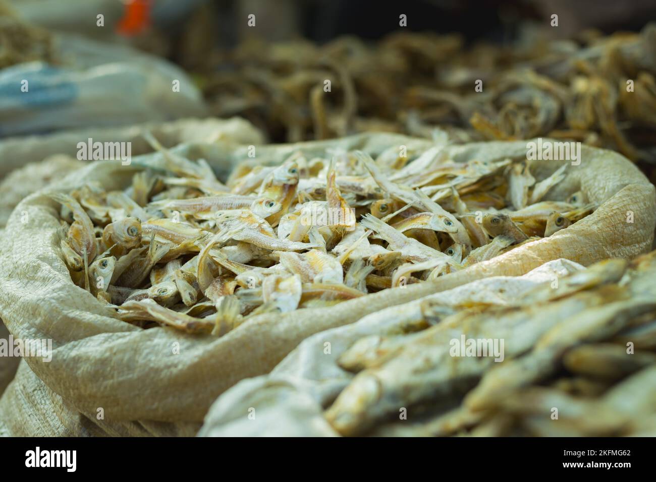 Getrocknete Garnelen oder Krills, die in einem Sack auf den Fischmärkten indiens gehalten werden. Stockfoto