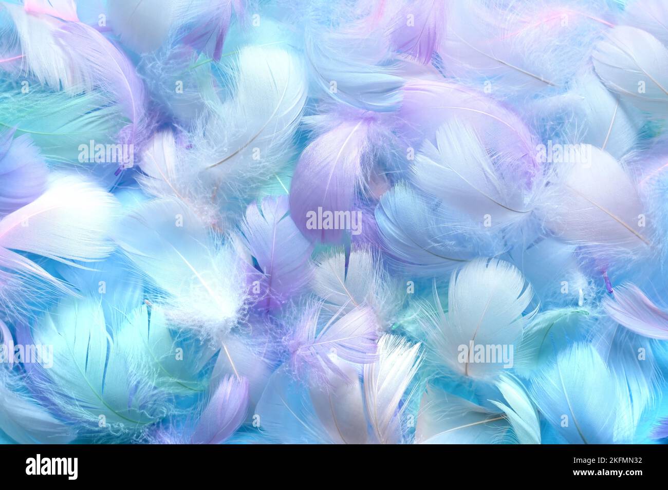 Angelic Pastell getönte weiße Feder Hintergrund - kleine flauschige blaue Federn zufällig verstreut bilden einen Hintergrund. Stockfoto