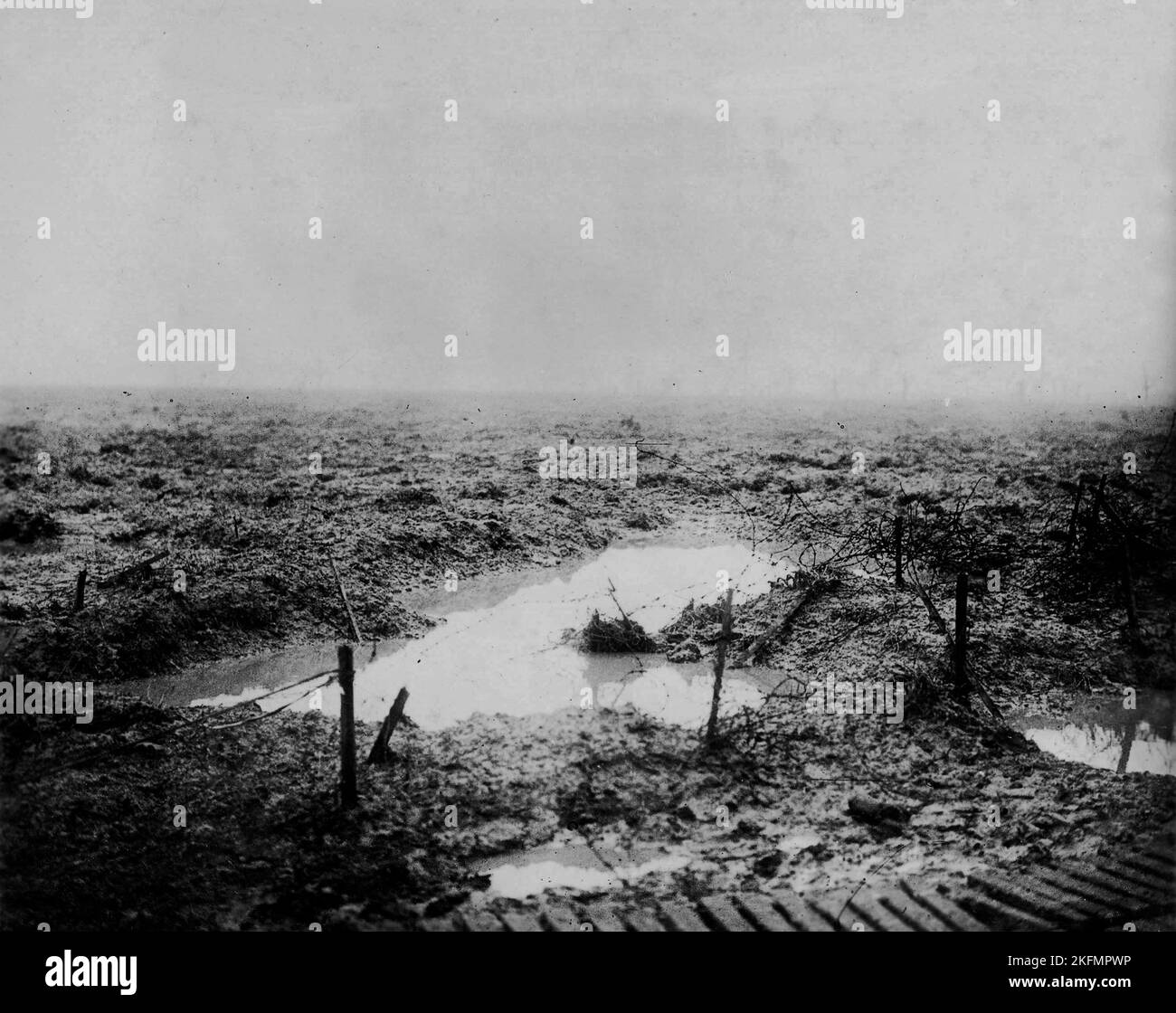 PASCHENDALE, BELGIEN - 1917 - Niemandsland...Schlamm, Wasser und Stacheldraht veranschaulichen das schreckliche Terrain, durch das die Kanadier am vorgerückt sind Stockfoto