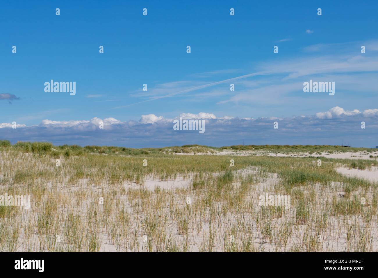Dünenlandschaft auf der Insel Amrum Stockfoto