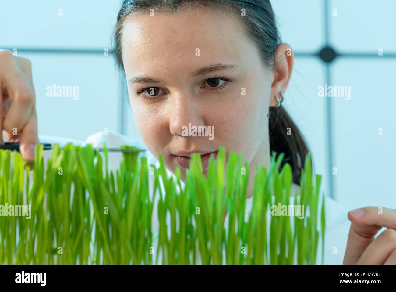 Junge Frau schneidet grünes Gras mit einer Schere, die perfekte Höhe ...
