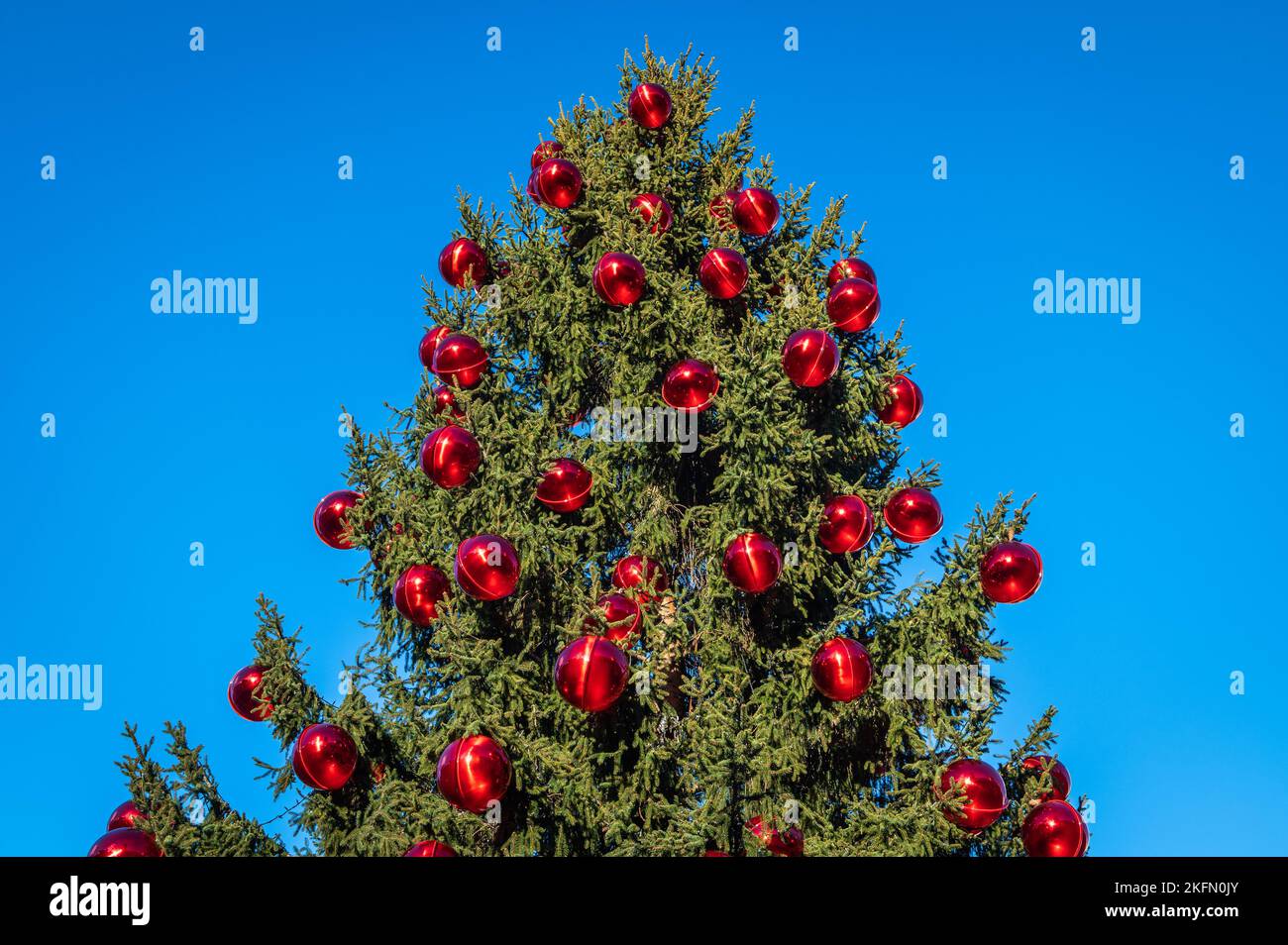 Weihnachten Trient: Weihnachtsbaum mit roten Kugeln mit Spiegelung geschmückt - Trentino-Südtirol - Norditalien Stockfoto
