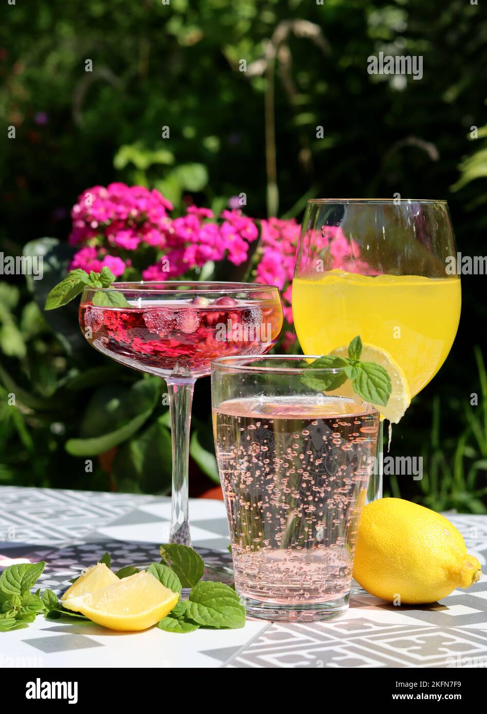 Erfrischende Sommercocktails auf einem Gartentisch. Nahaufnahme von Gläsern mit verschiedenen Getränken. Party im Garten. Stockfoto