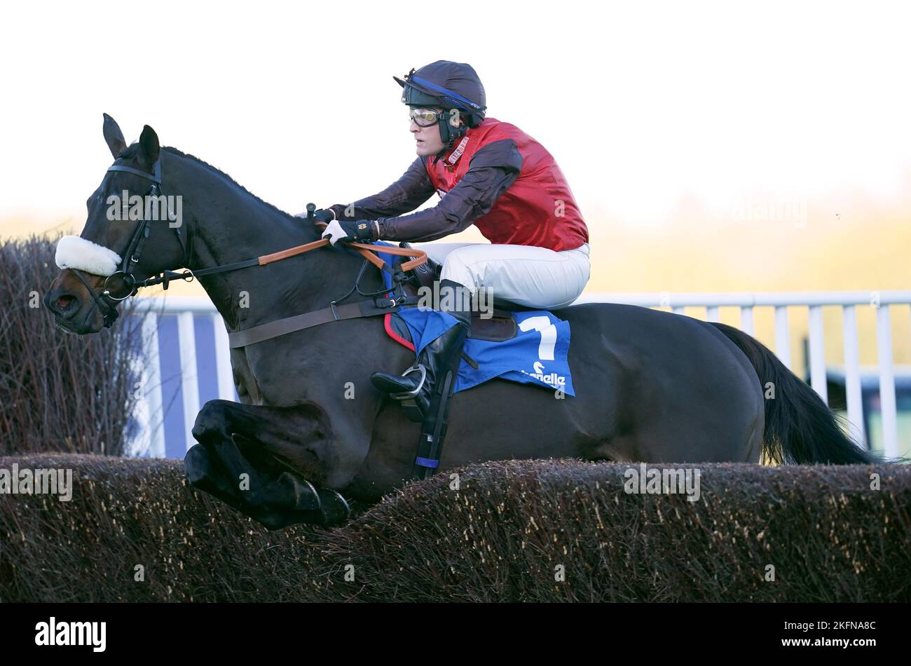 Saint Calvados von David Maxwell während der Chanelle Pharma 1965 Chase am November Racing Wochenende Samstag auf der Ascot Racecourse gefahren. Bilddatum: Samstag, 19. November 2022. Stockfoto