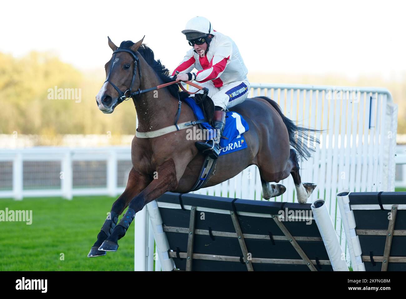 Goshen von Jamie Moore fährt fort, die Coral Hurdle am Samstag, dem November Racing Weekend, auf der Ascot Racecourse zu gewinnen. Bilddatum: Samstag, 19. November 2022. Stockfoto