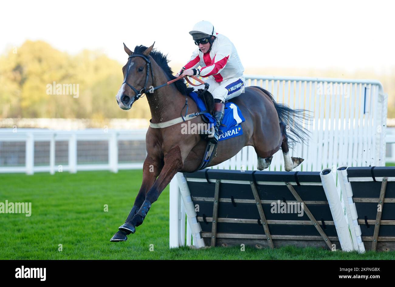 Goshen von Jamie Moore fährt fort, die Coral Hurdle am Samstag, dem November Racing Weekend, auf der Ascot Racecourse zu gewinnen. Bilddatum: Samstag, 19. November 2022. Stockfoto