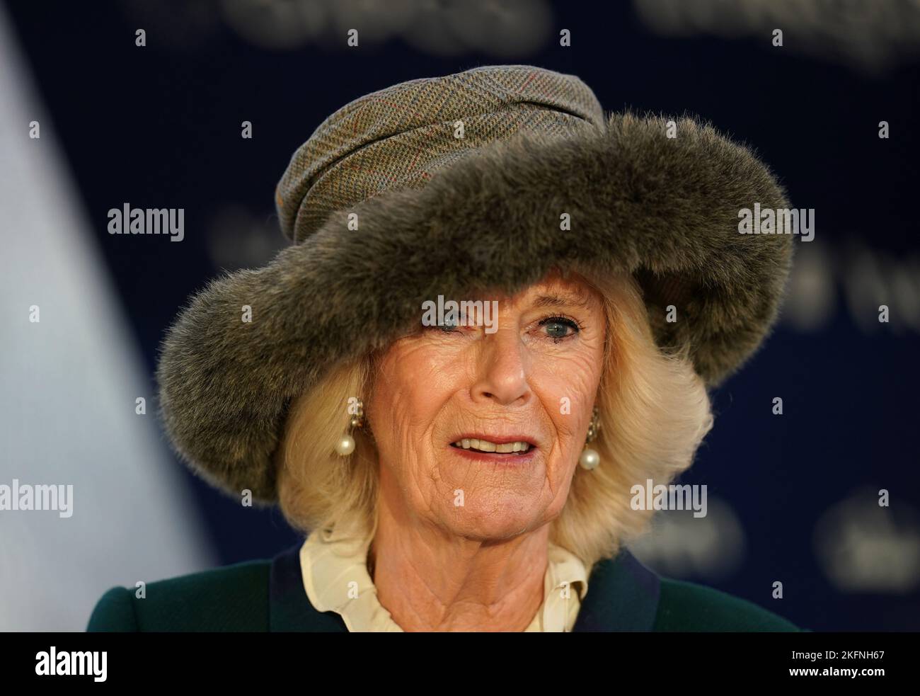 Die Königin Consort am November Racing Wochenende Samstag auf Ascot Racecourse. Bilddatum: Samstag, 19. November 2022. Stockfoto