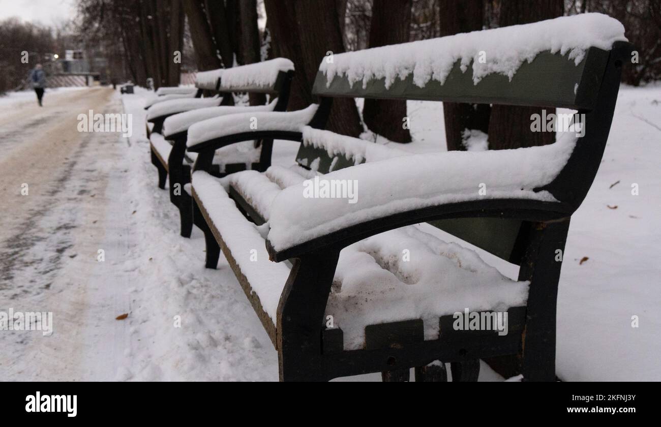 Einsame schneebedeckte Bänke im Winter im Park Stockfoto