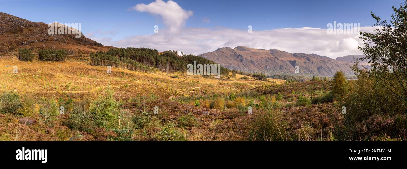 Panoramablick auf Moor und Berge im schottischen Hochland Stockfoto