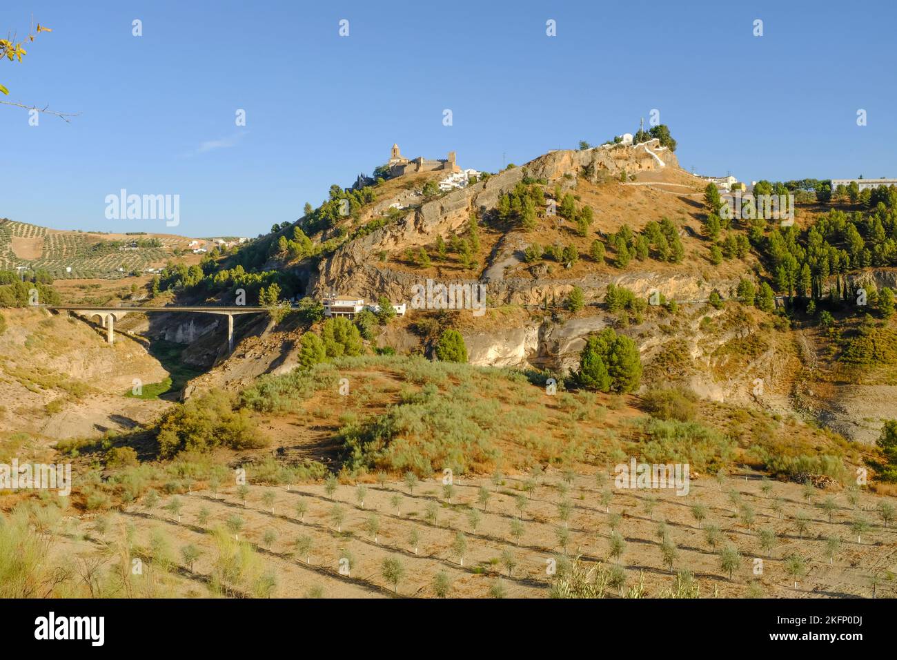 Die Landschaft hinter Iznajar Stadt auf dem Hügel, mit jungen Olivenbäumen, zeigt im Spätsommer Trockenheit Bedingungen. Iznajar, Andalusien, Südspanien Stockfoto