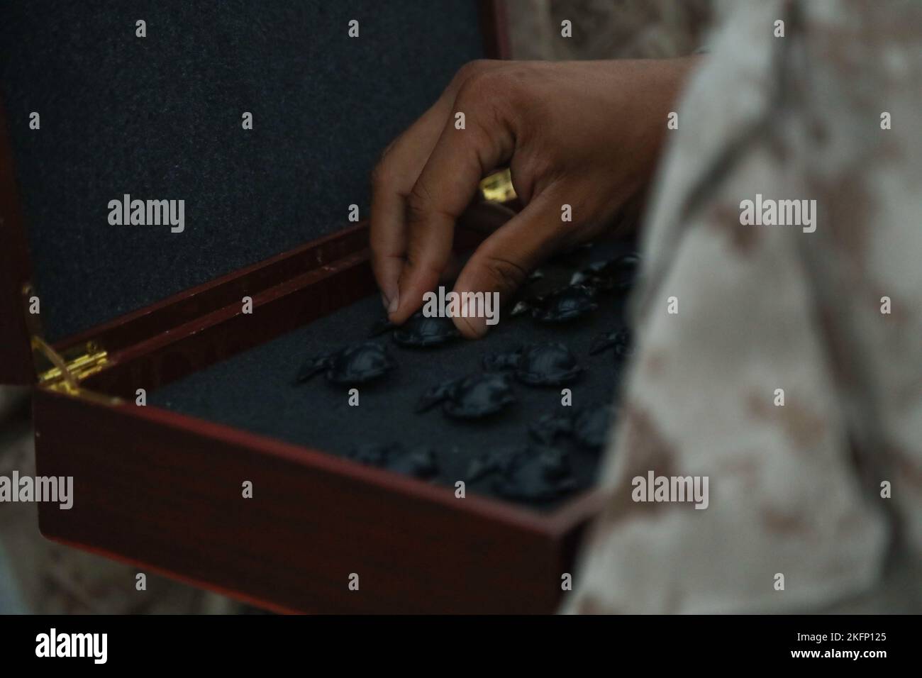 Rekruten bei Bravo Company, 2. Rekrut Training Bataillon und November ...