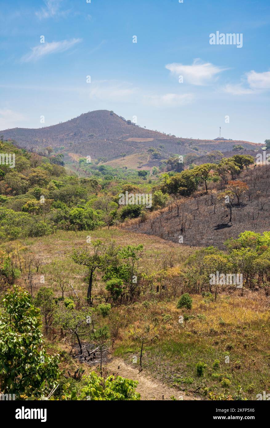 Landwirtschaftliche Umgebung mit Anzeichen für die Zerstörung von Waldbränden in der Nähe von Bula, Nkhata Bay District, Malawi Stockfoto