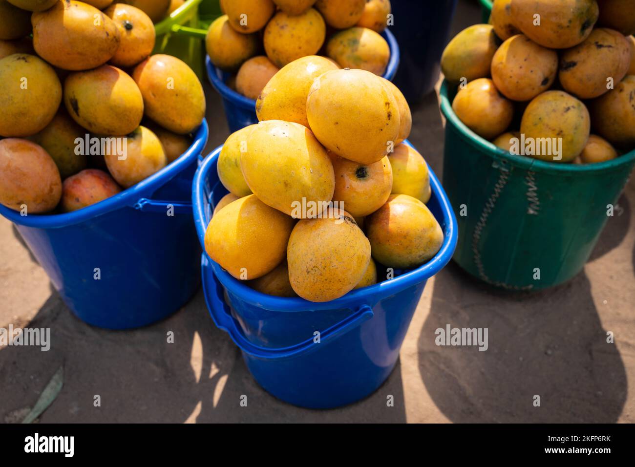 Eimer Mangos zum Verkauf am Straßenrand im ländlichen Malawi Stockfoto