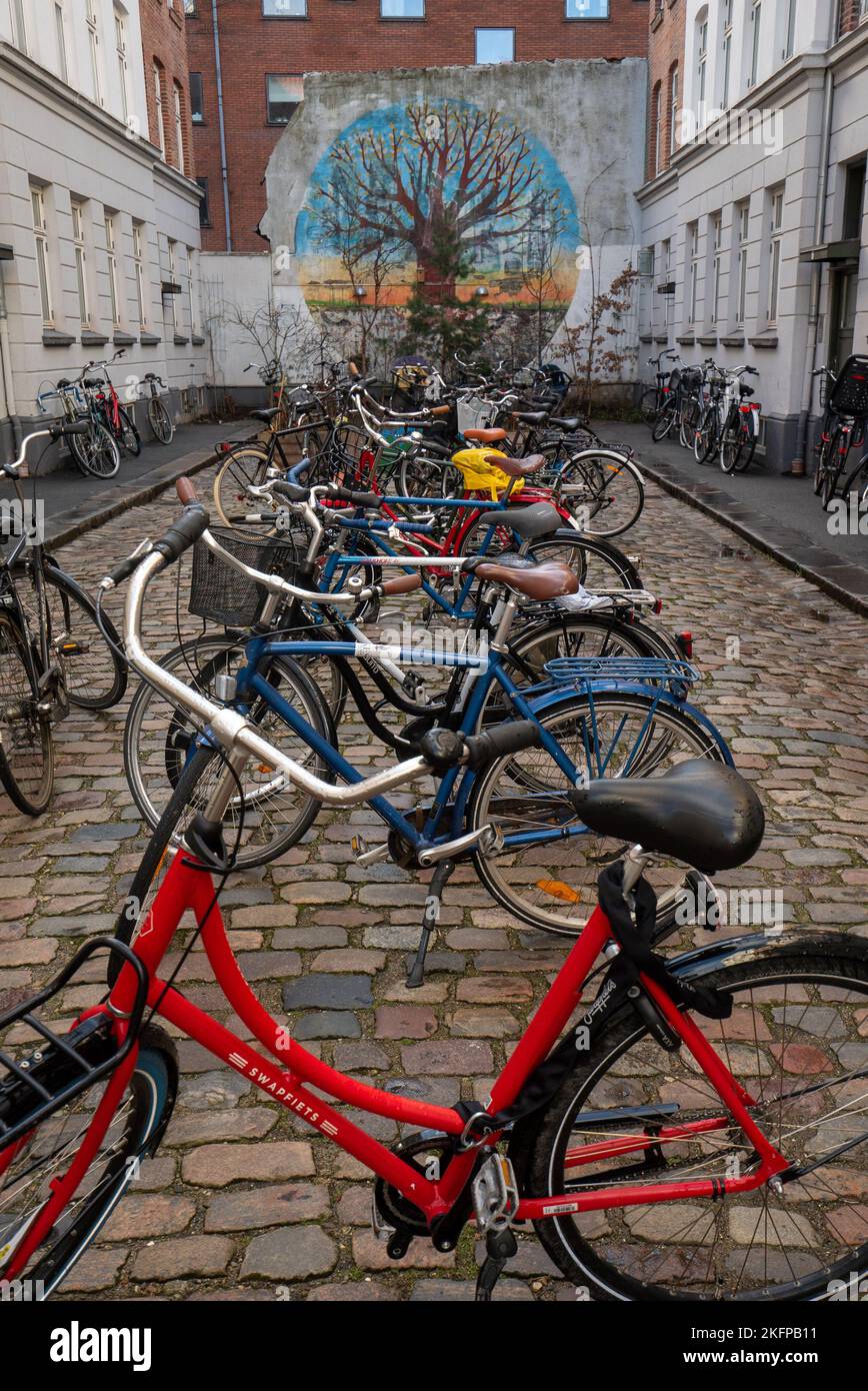 Viele Treträder parken auf einer Straße an einem Fahrradparkplatz in Kopenhagen, Dänemark. Fahrradpark. Die umweltfreundlichste Stadt Europas, nachhaltiger Verkehr. Stockfoto