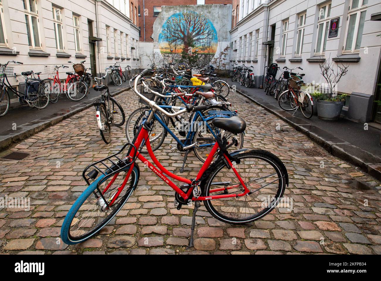 Viele Treträder parken auf einer Straße an einem Fahrradparkplatz in Kopenhagen, Dänemark. Fahrradpark. Die umweltfreundlichste Stadt Europas, nachhaltiger Verkehr. Stockfoto