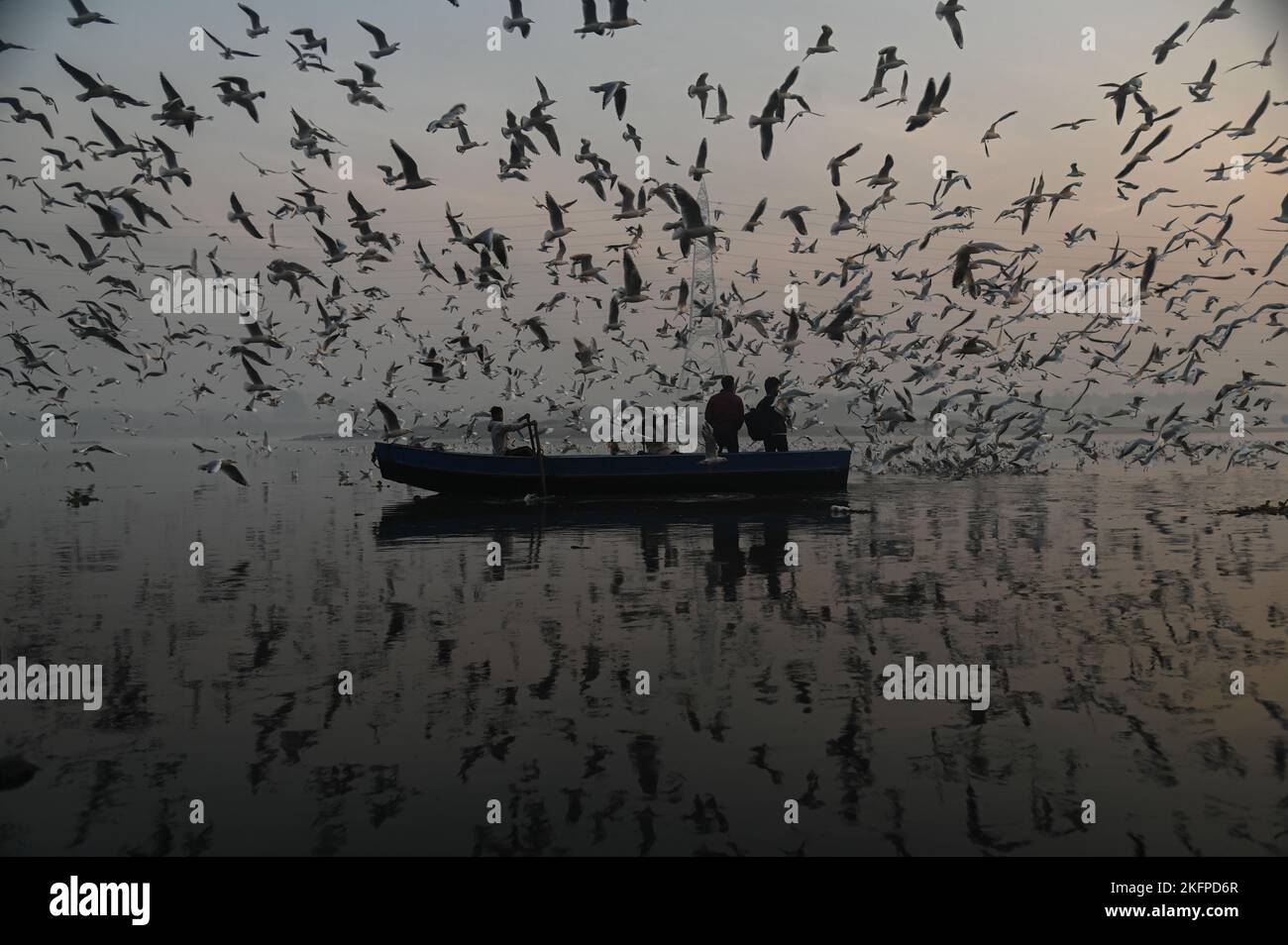Neu-Delhi, Delhi, Indien. 19.. November 2022. Ein Boot mit ein paar Fischern wird von Vögeln überflusst, die am Ufer des Flusses Yamuna in Neu-Delhi nach Köderfischfutter suchen. Zugvögel kommen während der Wintersaison in verschiedenen Teilen Indiens bis Oktober an und werden voraussichtlich bis zum Monat März abreisen. (Bild: © Kabir Jhangiani/ZUMA Press Wire) Stockfoto