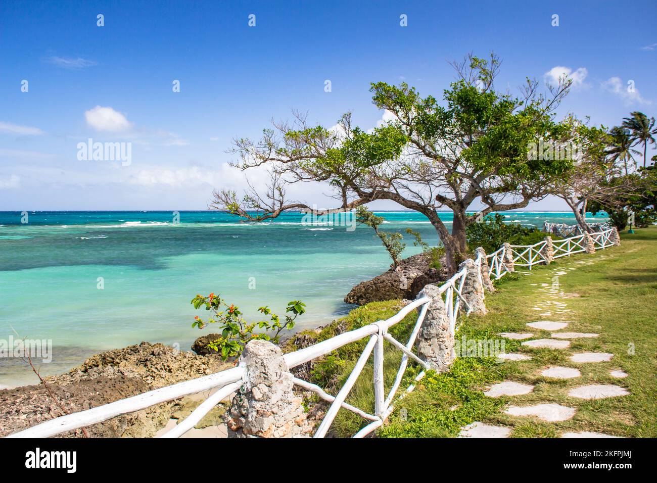 Palmen an einem kubanischen Strand. Guardalavaca, Kuba. Tropische Landschaft Stockfoto
