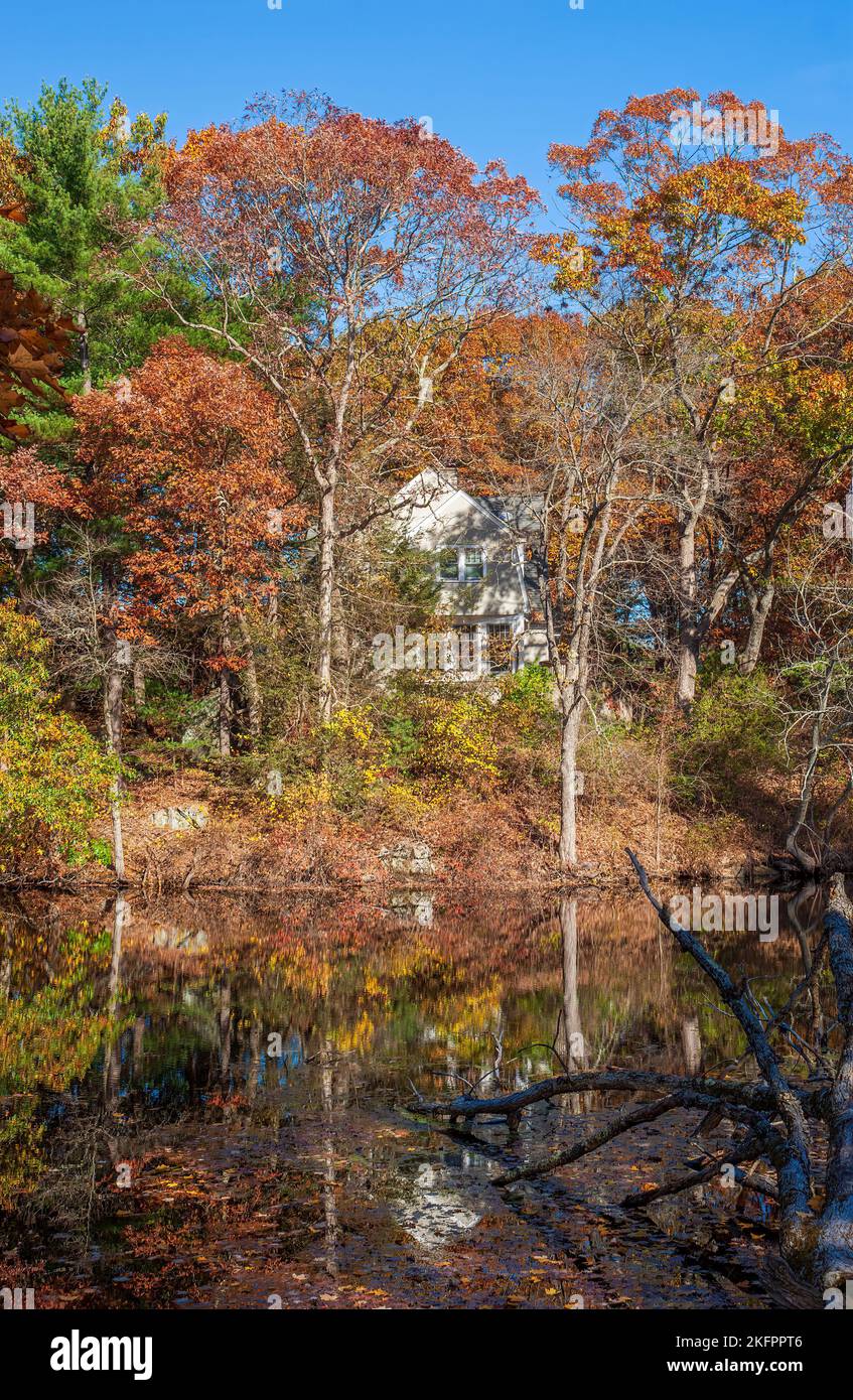 Haus am Ufer des Charles River, umgeben von einem Mischwald. Farbenfrohe Bäume im Herbstlaub. Charles River Peninsula, Needham, MA, USA. Stockfoto