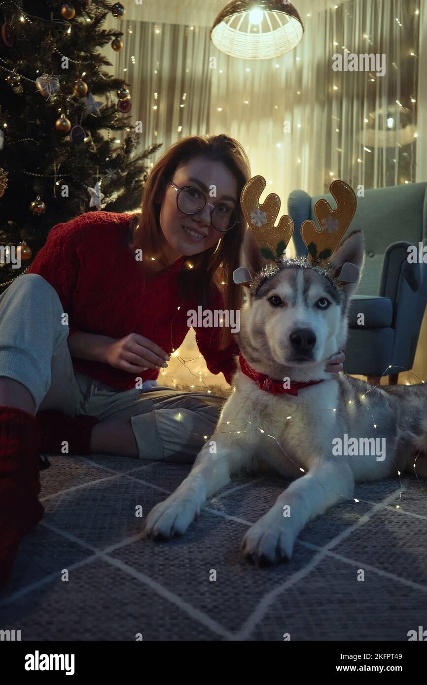 Eine junge Frau am Weihnachtsabend, zusammen mit einem Hund, der Spaß dabei hat, die Hörner und Girlande des Weihnachtsrausches anzuziehen, die auf dem Boden zu Weihnachten sitzen Stockfoto